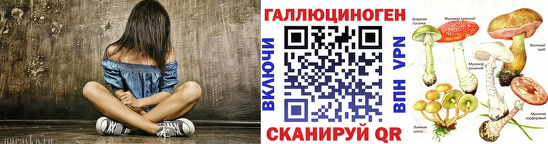 Псилоцибиновые грибы Psilocybe  Бологое 